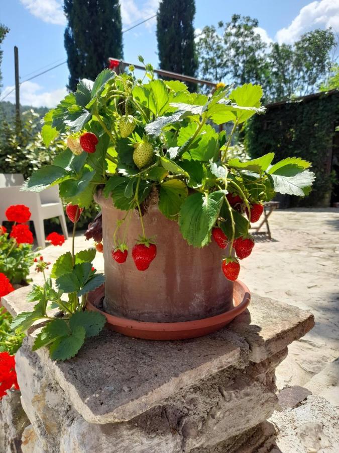 Volver B&B Spoleto Exterior foto